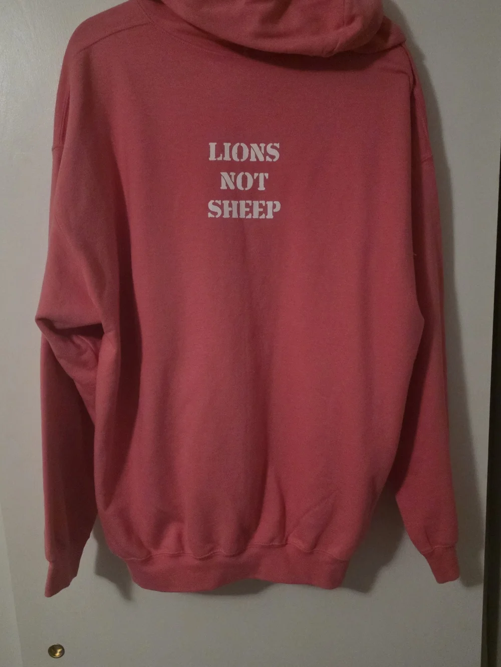 lions not sheep lions not